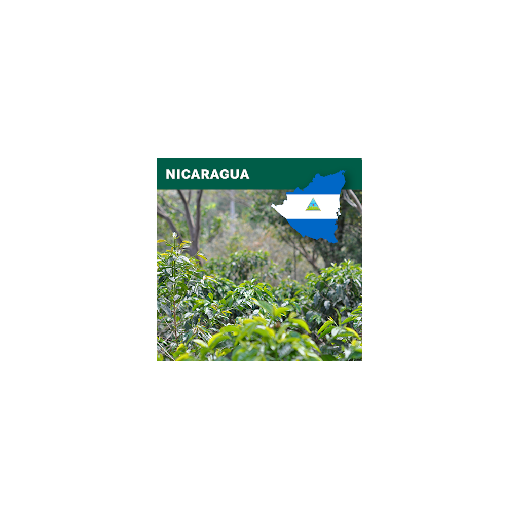 Nicaragua SHG EP washed (zelená)