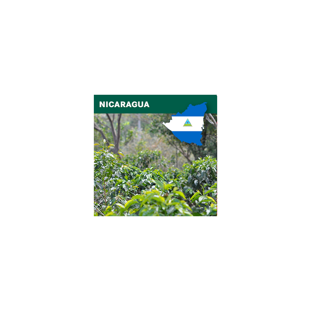 Nicaragua SHG EP washed (zelená)