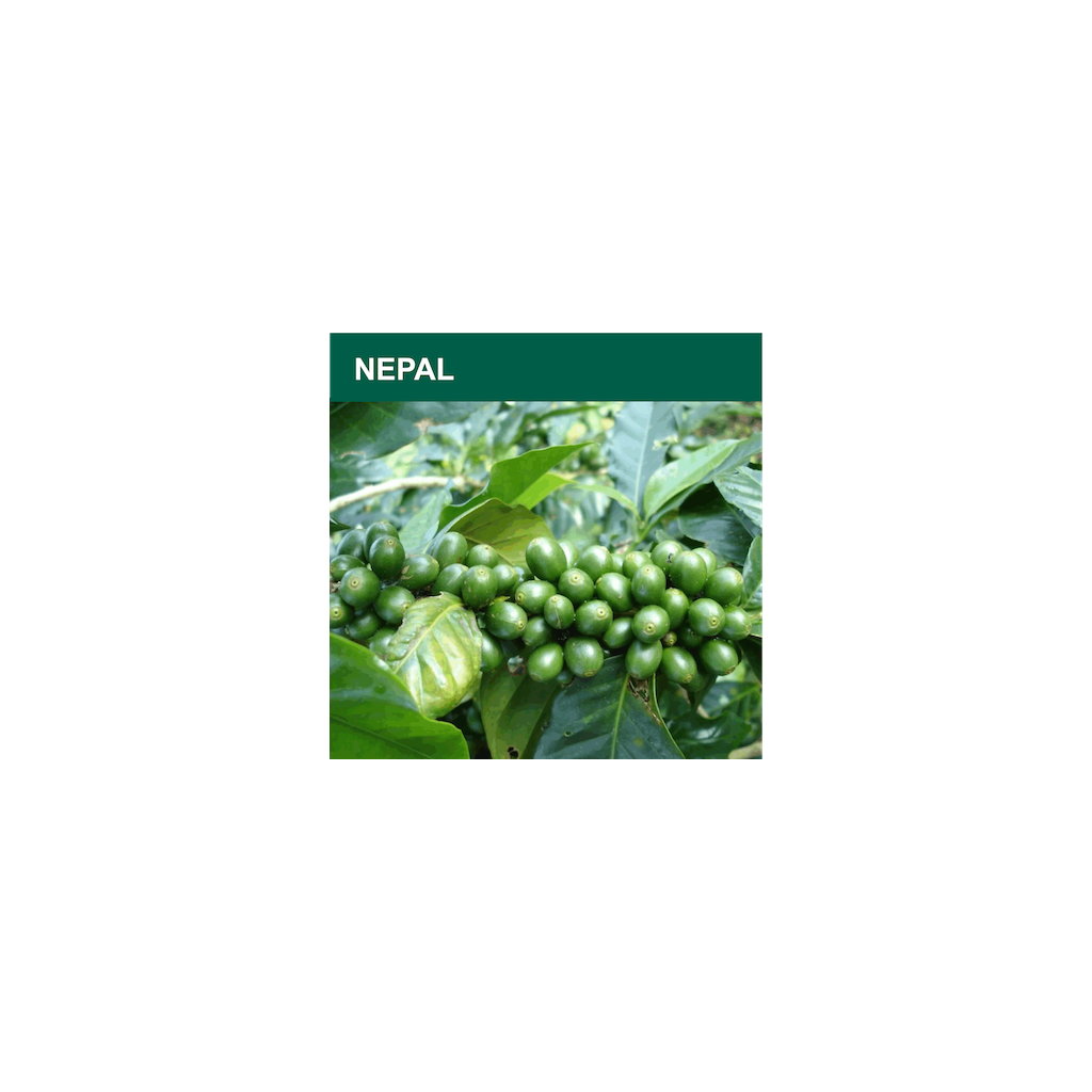 Nepal Mt. Everest Supreme Organic (zelená)