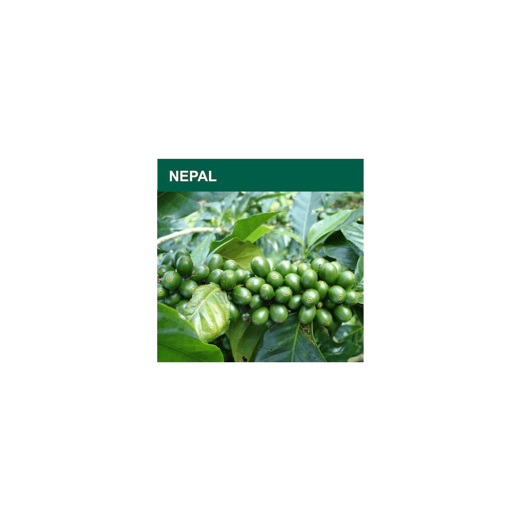 Nepal Mt. Everest Supreme Organic (zelená)