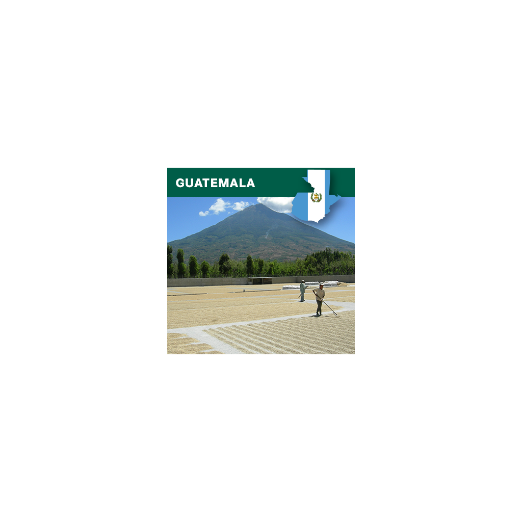 Guatemala SHB EP Huehuetenango (zelená)