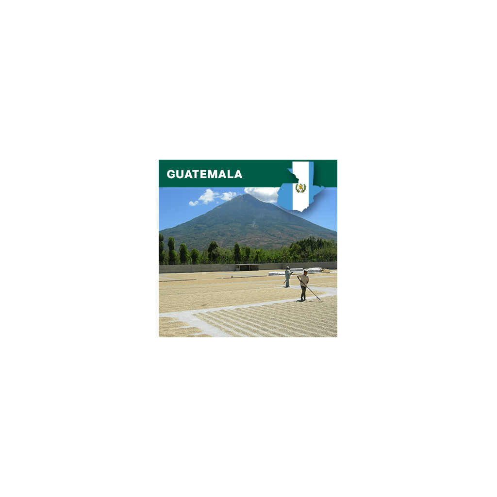 Guatemala SHB EP Huehuetenango (zelená)