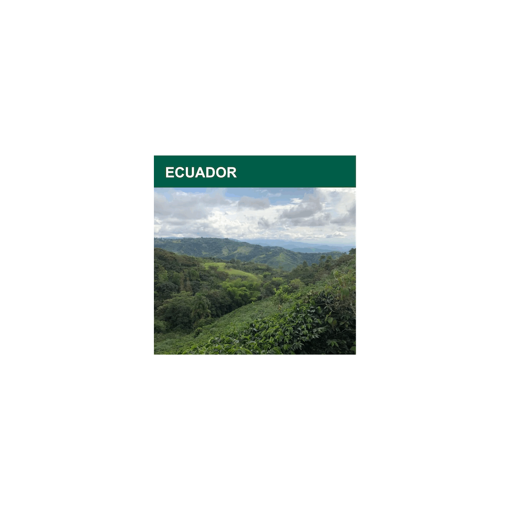 Ecuador honey Arabica Manabí, Santa Ana, SEPS (zelená)