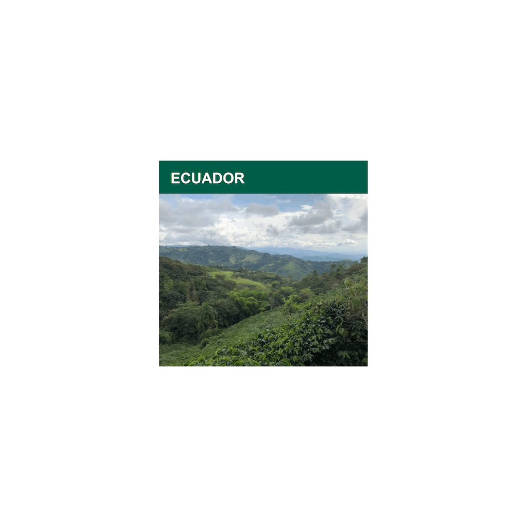 Ecuador honey Arabica Manabí, Santa Ana, SEPS (zelená)