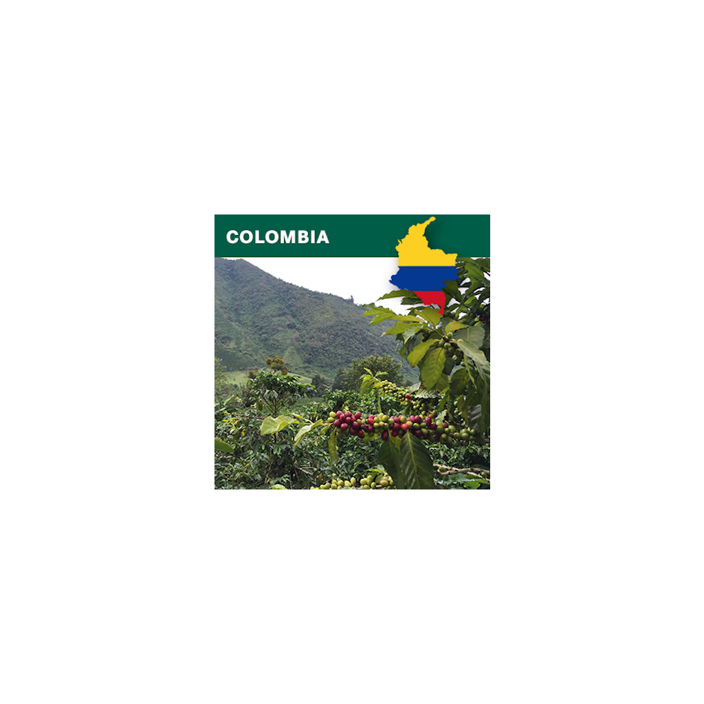 Colombia Supremo Huila EP washed (zelená)