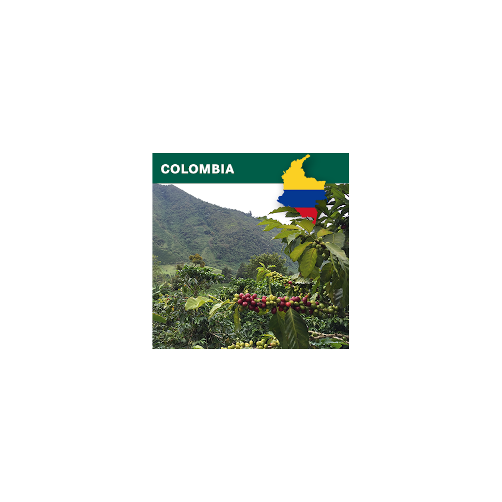 Colombia Supremo Huila EP washed (zelená)